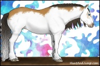 Horse Color:Bay Splash Frame 