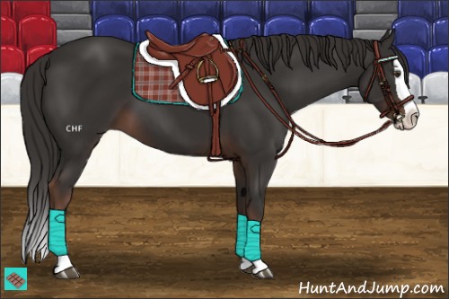 Horse Color:Liver Chestnut Splash 