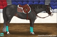 Horse Color:Liver Chestnut Splash 