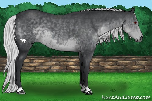 Horse Color:Silver Black Chinchilla 