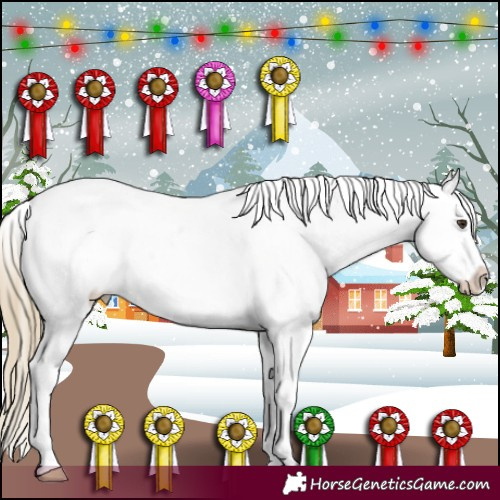Horse Color:Red Roan Near Fewspot