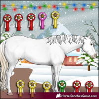 Horse Color:Red Roan Appaloosa 