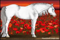 Horse Color:White Spotted Smoky Black Splash Snowcap 