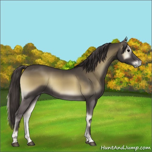 Horse Color:Smoky Blue Onyx 