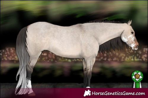 Horse Color:Brown Roan Dun Sabino 