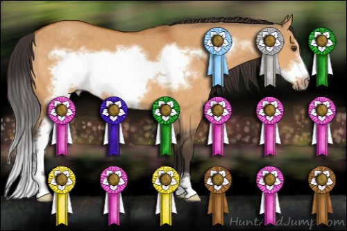 Horse Color:Buckskin Dun Sabino Frame 