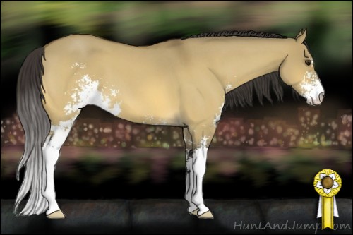 Horse Color:Buckskin Roan Dun Sabino 