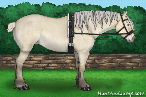 Horse Color:Silver Buckskin Roan Dun