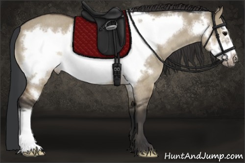 Horse Color:Brown Dun Frame Rabicano