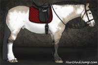 Horse Color:Brown Dun Frame Rabicano