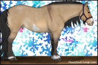 Horse Color:Bay Roan Dun Frame Rabicano