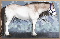 Horse Color:White Spotted Bay 