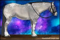 Horse Color:Blue Onyx Ice Roan 