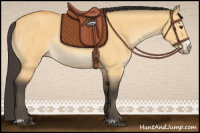 Horse Color:Buckskin Dun Frame Rabicano