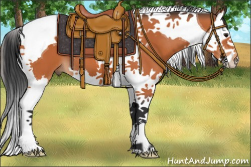 Horse Color:Bay Splash Tobiano 