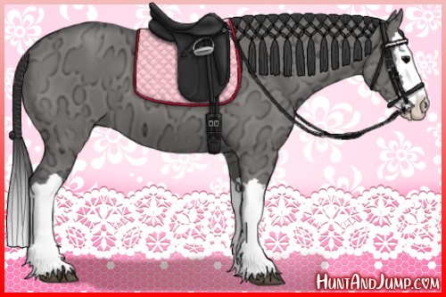 Horse Color:Grullo Ice Splash 