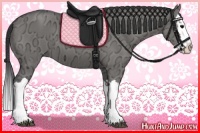 Horse Color:Grullo Ice Splash