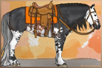 Horse Color:Brown Splash Rabicano