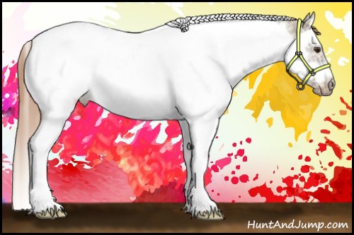 Horse Color:Red Dun Ice Splash Tobiano Frame Near Leopard Rabicano 