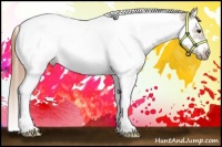 Horse Color:Red Dun Ice Splash Tobiano Frame Appaloosa Rabicano