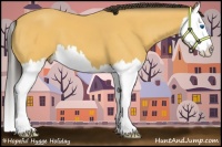 Horse Color:Buckskin Splash 