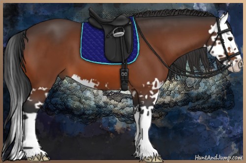 Horse Color:Bay Splash