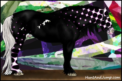 Horse Color:Silver Brown Dun Sabino Splash Frame Varnish 