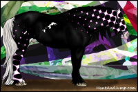 Horse Color:Silver Brown Dun Sabino Splash Frame Varnish