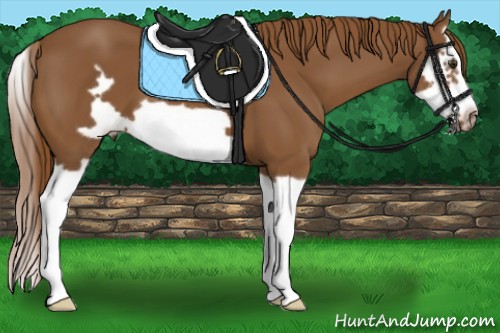 Horse Color:Chestnut Splash Frame