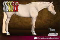 Horse Color:Gold Champagne Roan 