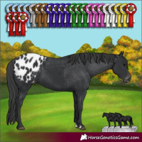 Horse Color:Black Varnish 