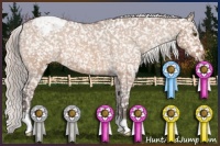 Horse Color:Silver Bay Dun Appaloosa