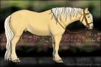 Horse Color:Palomino