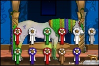 Horse Color:Painted Watercolor Buckskin Dun 