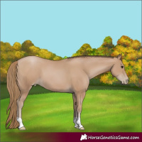 Horse Color:Black Pearl