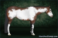 Horse Color:Bay Frame 