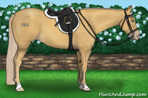 Horse Color:Gold Cream Champagne 