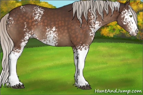 Horse Color:White Spotted Silver Brown