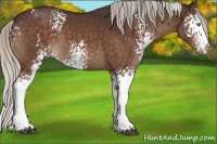 Horse Color:White Spotted Silver Brown