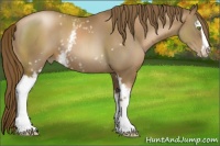 Horse Color:White Spotted Liver Chestnut Pearl