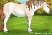 Horse Color:White Spotted Sable Champagne Pearl Dun 