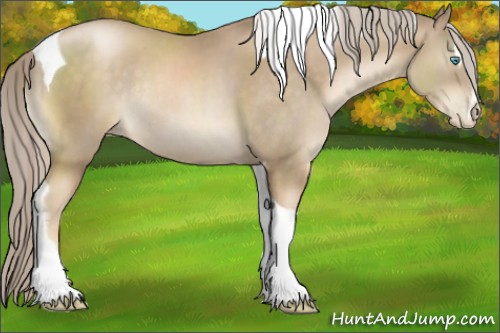 Horse Color:Chocolate Palomino Pearl Sabino Tobiano Rabicano 