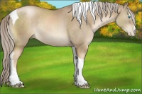 Horse Color:Chocolate Palomino Pearl Sabino Tobiano Rabicano 