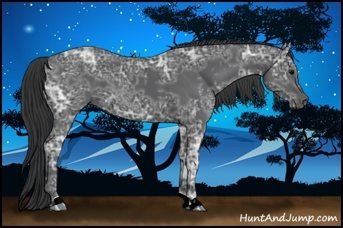 Horse Color:Black Ice  and Black Ice 