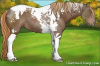 Horse Color:Liver Chestnut Tobiano Rabicano 