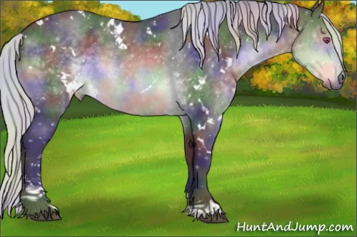 Horse Color:Nacre White Spotted Silver Brown Chinchilla Sabino 