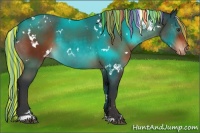 Horse Color:Painted White Spotted Brown Appaloosa 