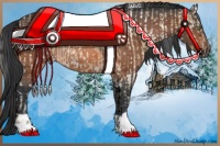 Horse Color:White Spotted Amber Champagne Ice Rabicano  and Bay Rabicano 