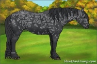 Horse Color:Black Ice 