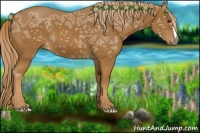 Horse Color:Chestnut Ice 